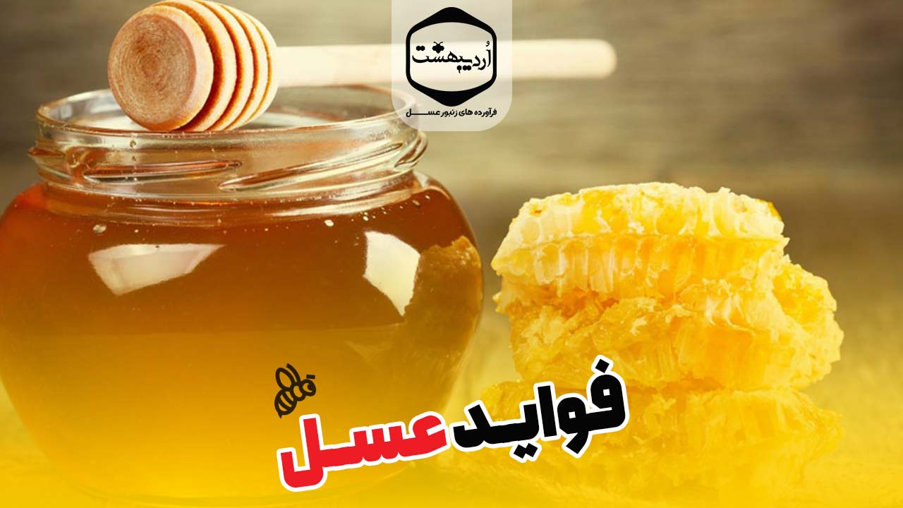 فواید عسل | خواص شگفت‌انگیز عسل طبیعی برای بدن
