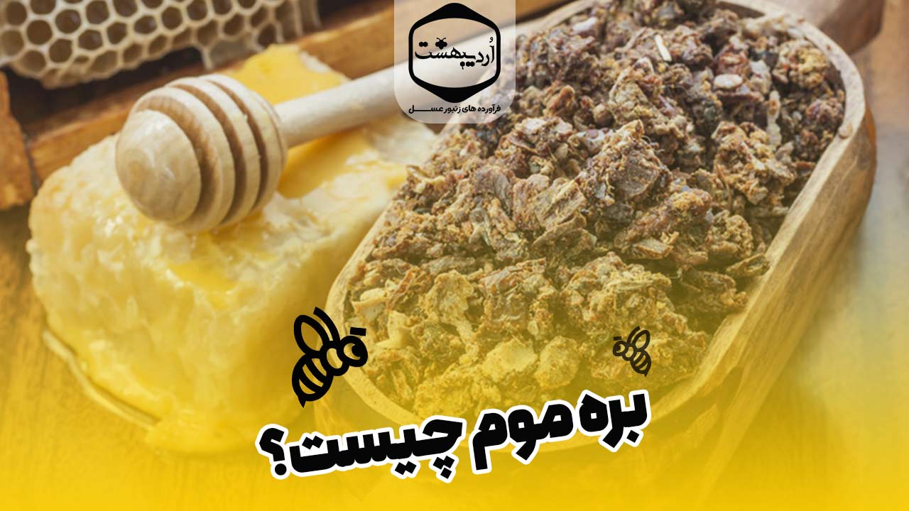 بره موم چیست و چگونه به درمان بیماری ها کمک میکند؟