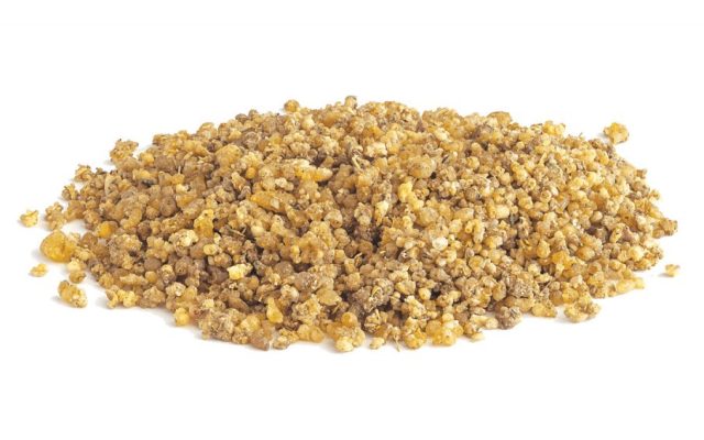 عسلک ترنجبین از چه گیاهی تولید می‌شود و چه خواصی دارد؟